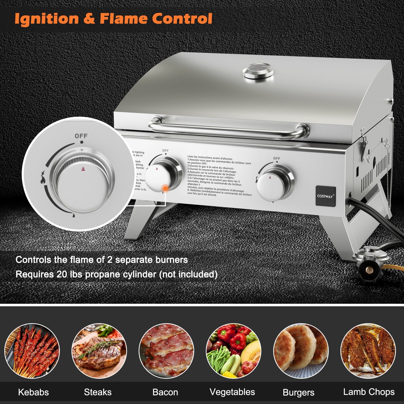 Costway 20,000 BTU Stainless Steel Propane Grill for Outdoor Camping Picnics Tailgating Sliver