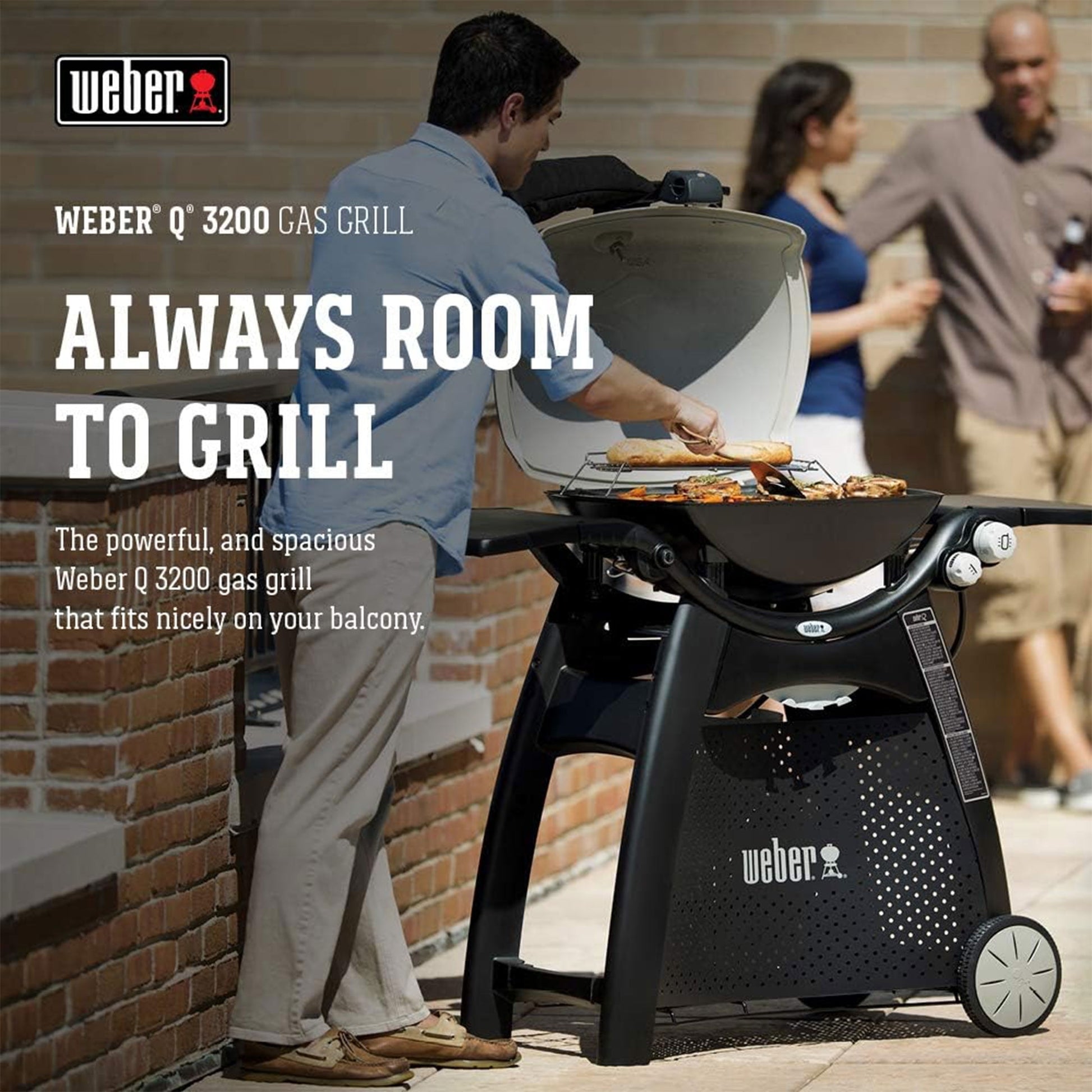 Weber-stephen Products Weber Q3200 NG Grill