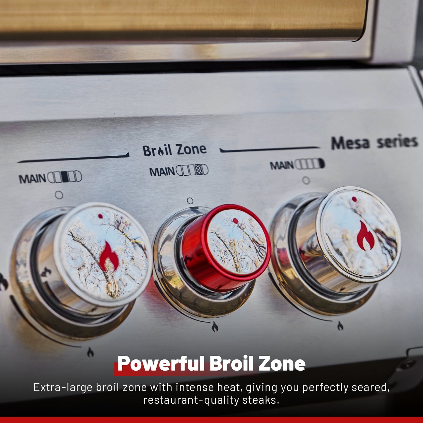 Mesa 4-Burner Propane Gas Grill in Stainless Steel with Broil Zone, Clear View Lid, Side Burner and LED Controls