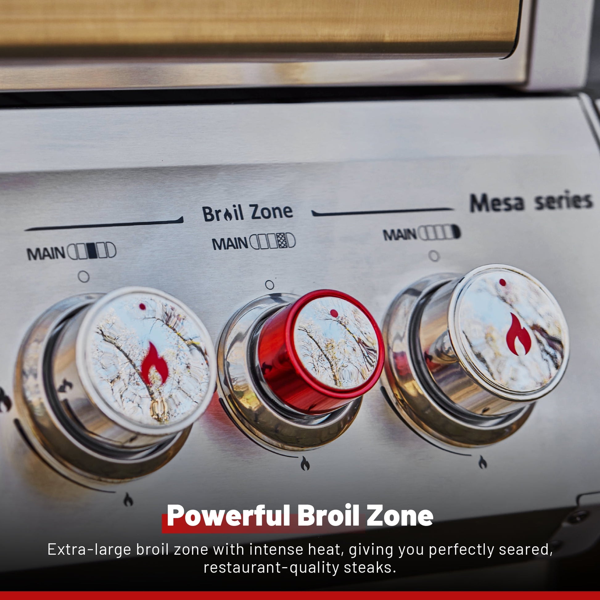 Mesa 4-Burner Propane Gas Grill in Stainless Steel with Broil Zone, Clear View Lid, Side Burner and LED Controls