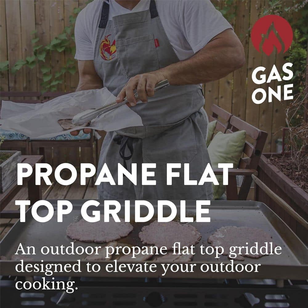 Portable Propane Grill in Stainless Steel 26 in. with Auto Ignition and Pre Season Griddle