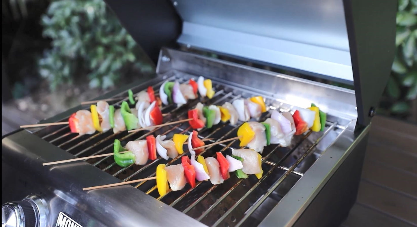Monument Grills Portable 2-Burner Tabletop Propane Gas Grill in Stainless Steel with Locking Clearview Lid