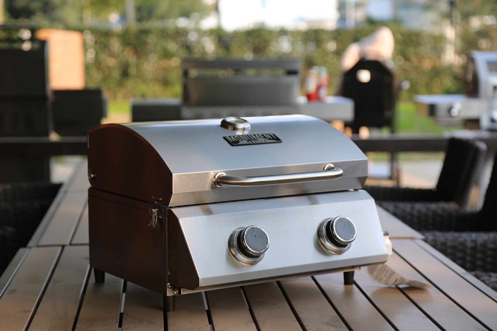 Monument Grills 2-Burner Portable Tabletop Propane Gas Grill in Stainless