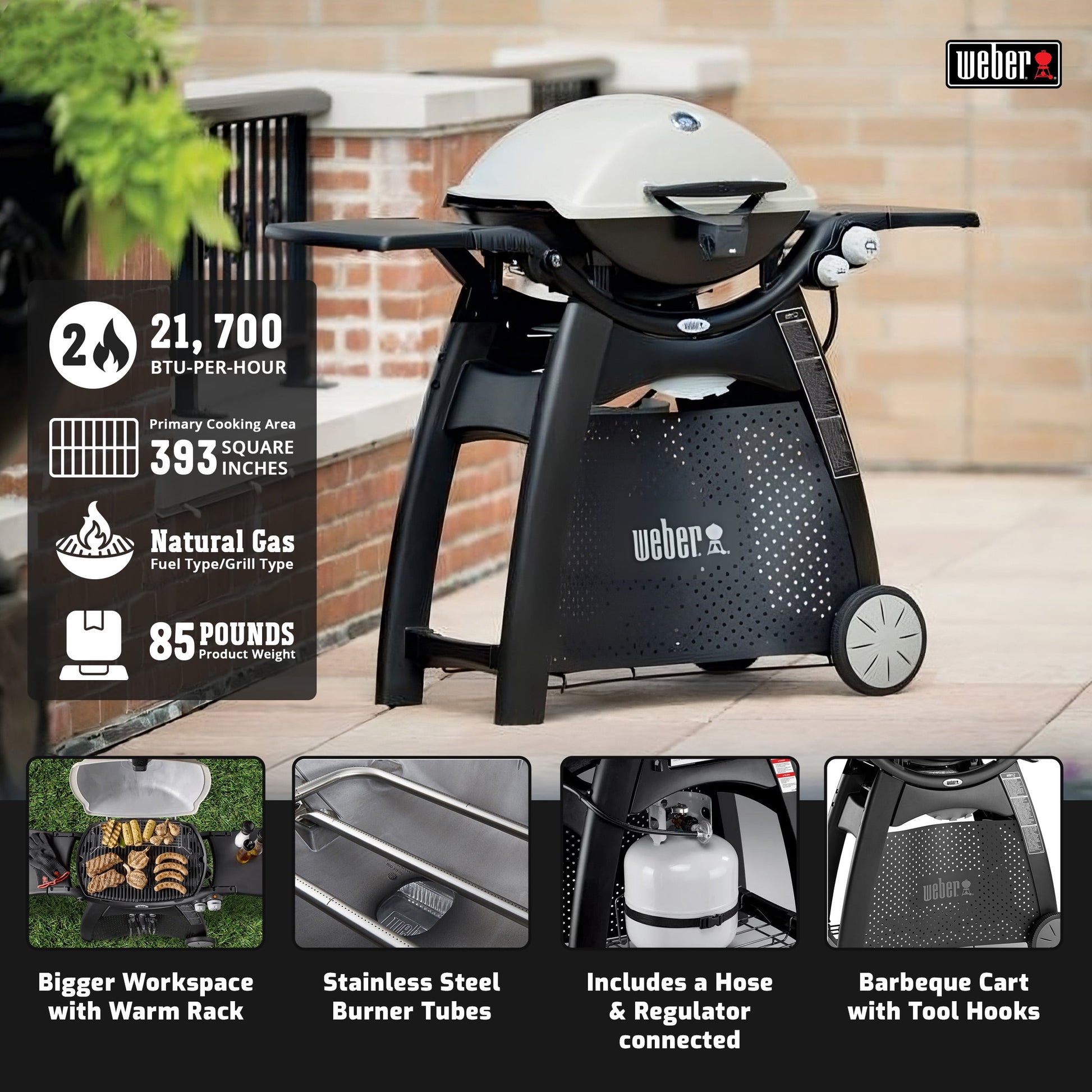 Weber-stephen Products Weber Q3200 NG Grill