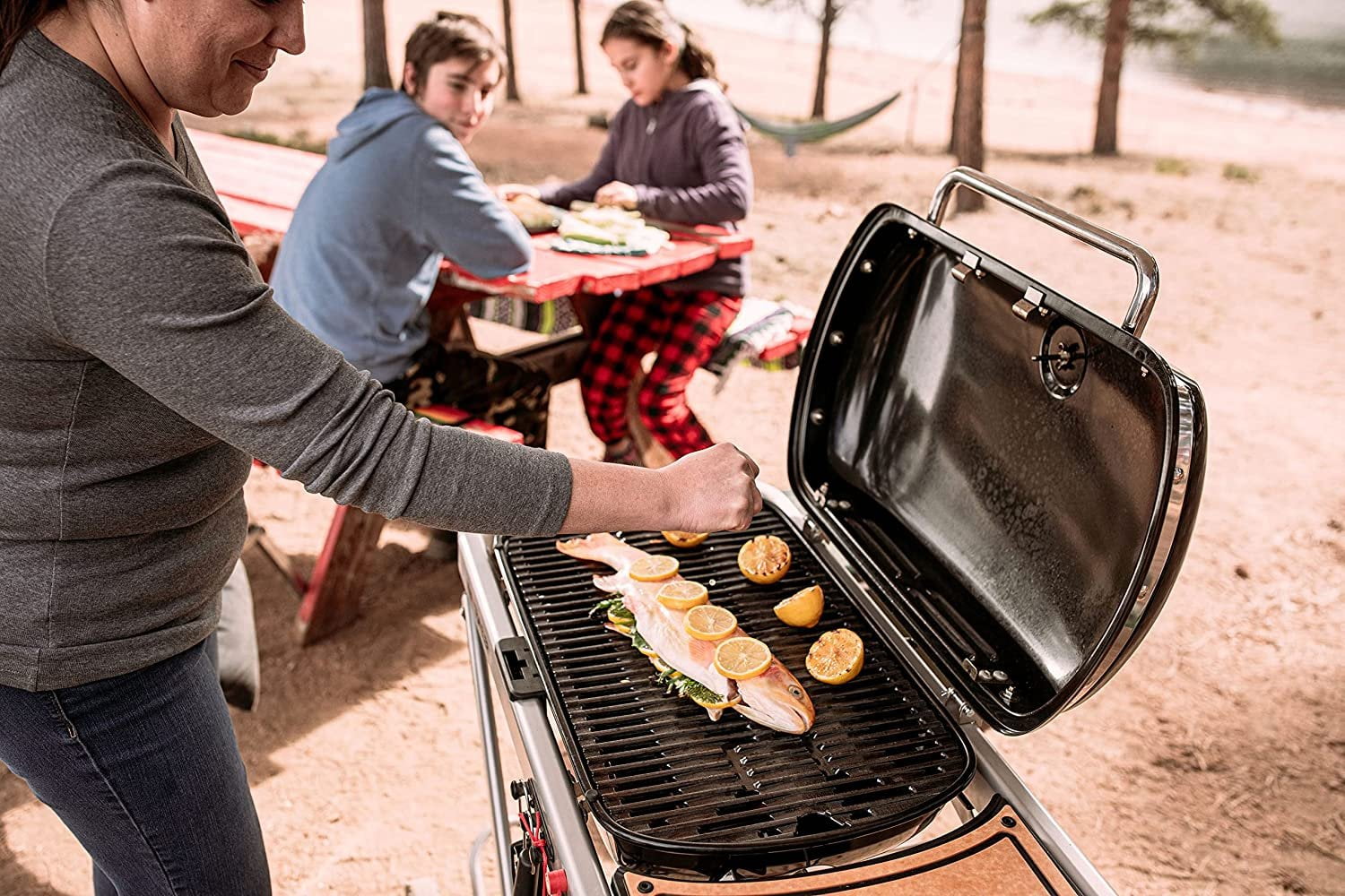The Weber Traveler Portable Gas Grill, Stealth Edition