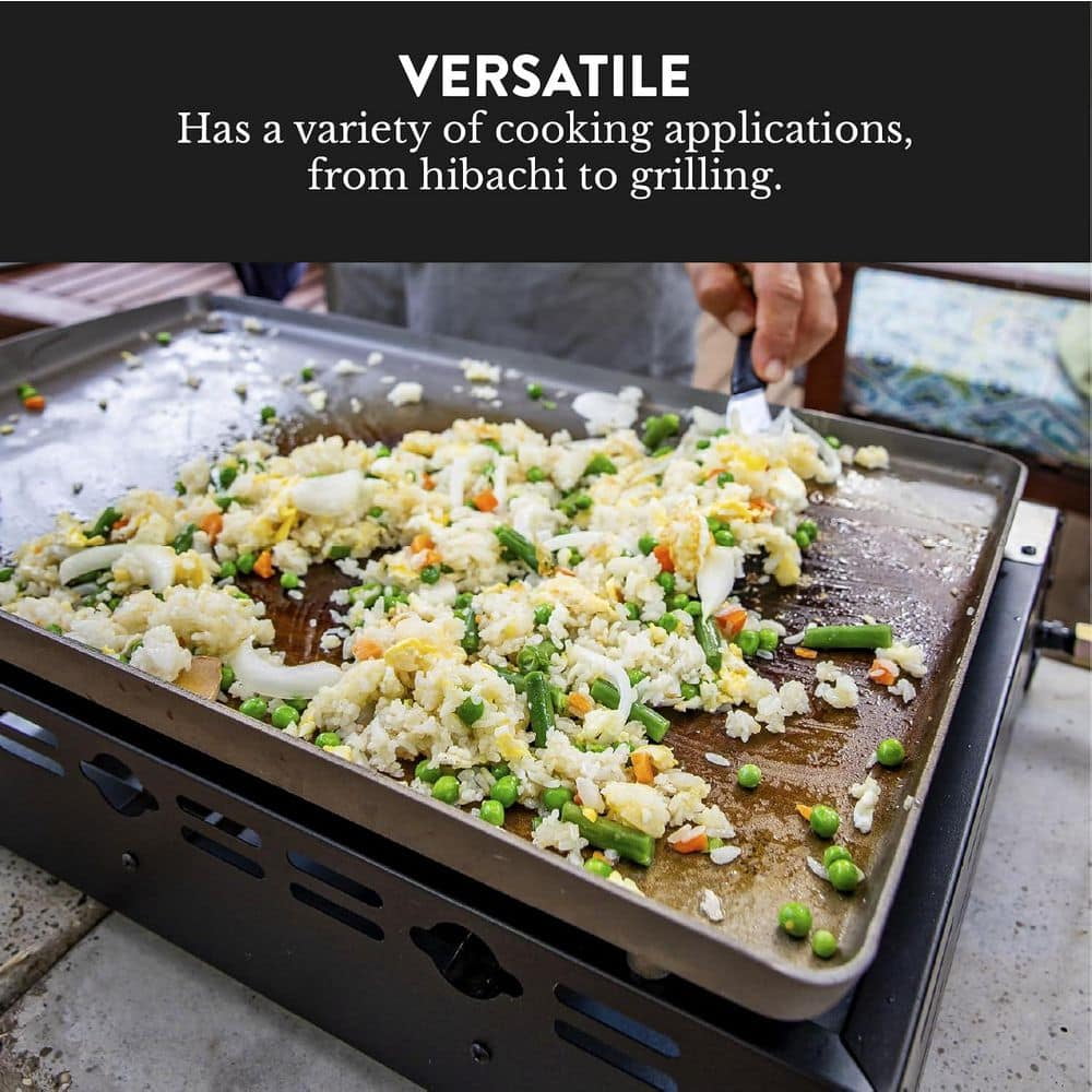 Portable Propane Grill in Stainless Steel 26 in. with Auto Ignition and Pre Season Griddle